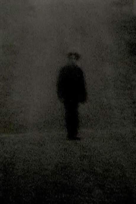 An anonymous figure drifts in slow motion across an empty, remote rural landscape, its path marked by a succession of symbolic images. These visions—evocations of society, memory, need and desire—are briefly examined, then rejected, leaving the solitary wanderer to press onward toward an uncertain, unknown destination. The horizon suggests a quest.